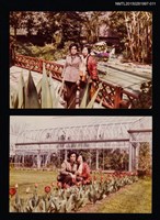 藏品(琦君夫婦與友人姜樵及其家人合照11)的圖片