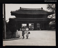 藏品(琦君訪韓照28)的圖片