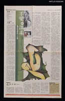 藏品(自由時報47版自由副刊)的圖片