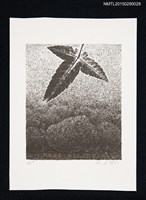 藏品(藏書票—樹葉)的圖片