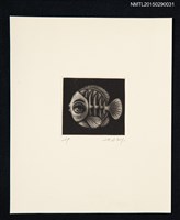 藏品(藏書票—魚)的圖片