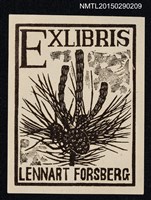 藏品(藏書票—松の実（松果）)的圖片