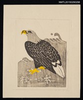藏品(藏書票—オジロワシ（白尾海鷲）)的圖片
