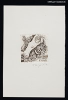 藏品(藏書票—裸婦)的圖片