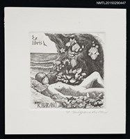 藏品(藏書票—海邊的裸女)的圖片