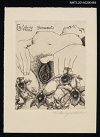 藏品(藏書票—裸女)的圖片