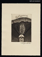 藏品(藏書票—性)的圖片