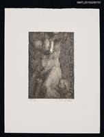 藏品(藏書票—人體)的圖片