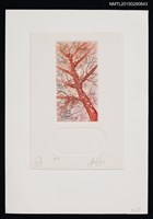 藏品(藏書票—樹)的圖片