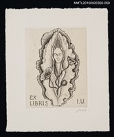 藏品(藏書票—縐紋中浮印的臉龐)的圖片