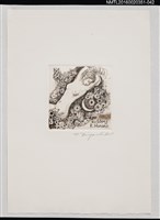 藏品(藏書票—裸婦)的圖片