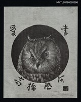 藏品(藏書票—專注的貓頭鷹)的圖片