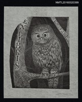 藏品(藏書票—樹林中的貓頭鷹)的圖片