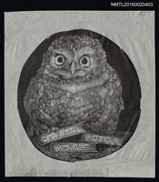 藏品(藏書票—書堆中的貓頭鷹)的圖片