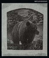 藏品(藏書票—棕熊)的圖片