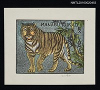 藏品(藏書票—虎)的圖片