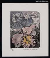藏品(藏書票—風の翼 【蝶と蘭】)的圖片