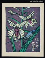 藏品(藏書票—羽蝶蘭)的圖片