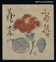 藏品(藏書票—紅椿)的圖片