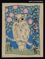 藏品(藏書票—貓頭鷹)的圖片