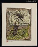 藏品(藏書票—鍬形蟲與金龜子)的圖片