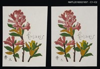 藏品(藏書票—一串紅)的圖片