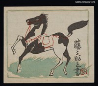 藏品(藏書票—黑斑白馬)的圖片