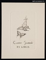 藏品(藏書票—三隻飛舞的蝴蝶)的圖片