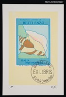 藏品(藏書票—貝殼)的圖片