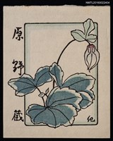 藏品(藏書票—枯花)的圖片