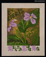 藏品(藏書票—紫花菜)的圖片