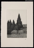 藏品(藏書票—樹林)的圖片