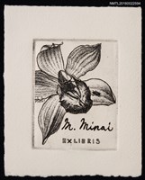 藏品(藏書票—蘭花)的圖片