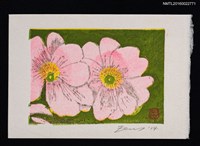 藏品(藏書票—プリムラ • ポリアンサ（報春花）)的圖片