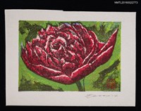 藏品(藏書票—シャクヤク（芍薬）)的圖片