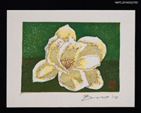 藏品(藏書票—モクレン（玉蘭）)的圖片