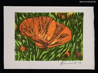 藏品(藏書票—ハナビシソウ（花菱草）)的圖片