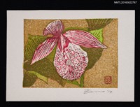 藏品(藏書票—クマガイソウ（熊谷草）)的圖片