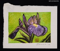 藏品(藏書票—アヤメ（菖蒲）)的圖片