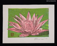 藏品(藏書票—スイレン（睡蓮）)的圖片