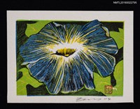 藏品(藏書票—アサガオ（牽牛花）)的圖片