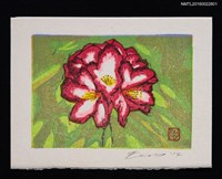 藏品(藏書票—シャクナゲ（杜鵑）)的圖片