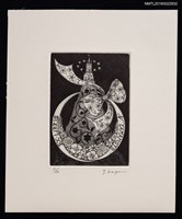 藏品(藏書票—花之城堡)的圖片