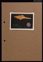 藏品(藏書票—貝類)的圖片