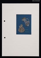 藏品(藏書票—鳥形壺)的圖片
