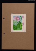 藏品(藏書票—桜草（さくら そう）)的圖片