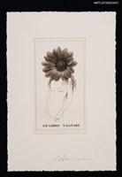 藏品(藏書票—ひまわり（向日葵）)的圖片