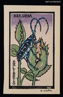 藏品(藏書票－天牛與花苞)的圖片