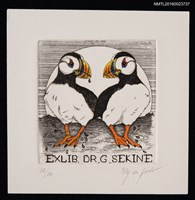 藏品(藏書票—熱帶鳥)的圖片