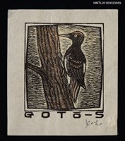 藏品(藏書票—啄木鳥)的圖片